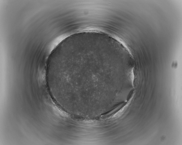 X0000094181066200711021000
