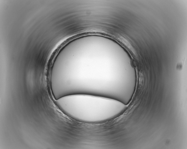 X0000094181068200711021000