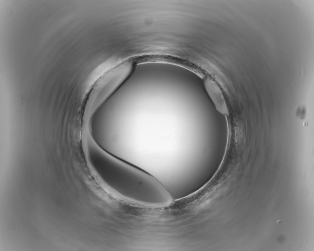 X0000094181069200711021000