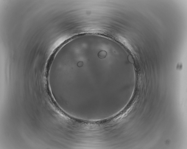 X0000094181071200711021000