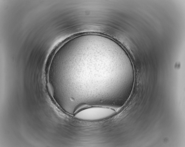 X0000094181072200711021000