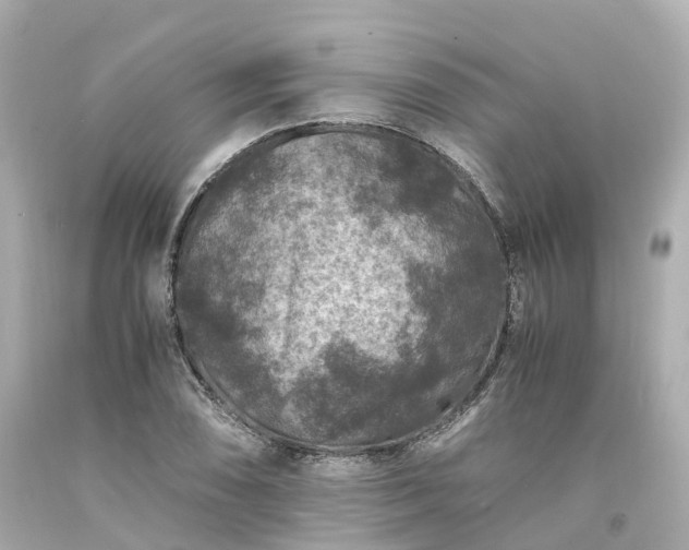 X0000094181074200711021000