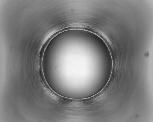 X0000094181075200711021000