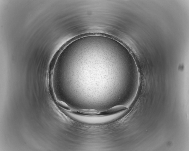 X0000094181076200711020959