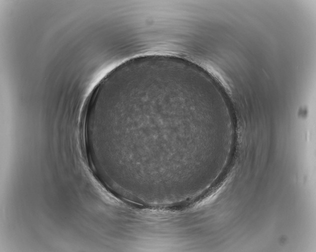X0000094181077200711020959