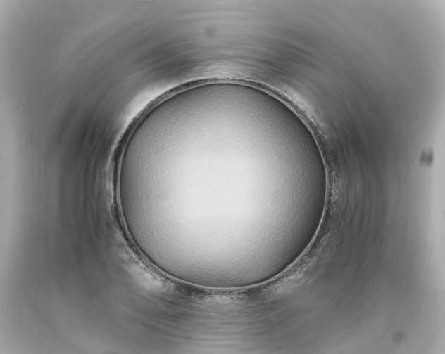 X0000094181078200711020959