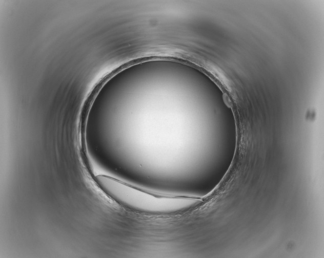 X0000094181080200711020959