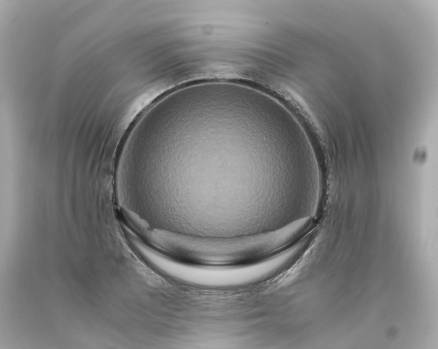 X0000094181081200711020959