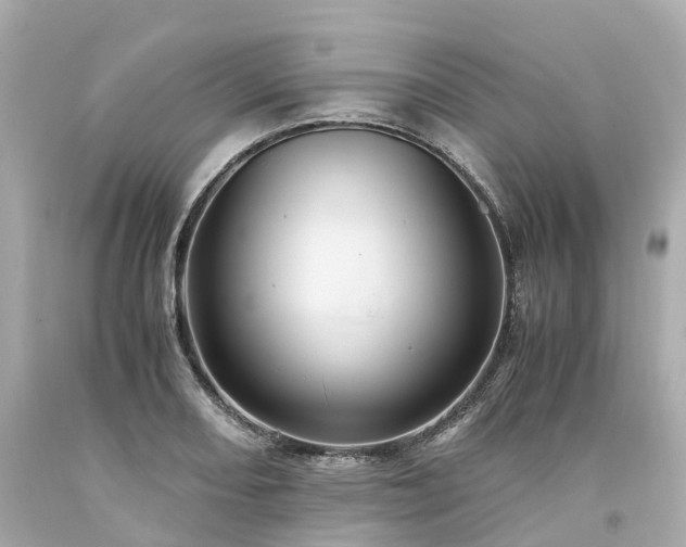 X0000094181082200711020959