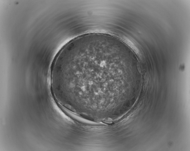 X0000094181084200711020959