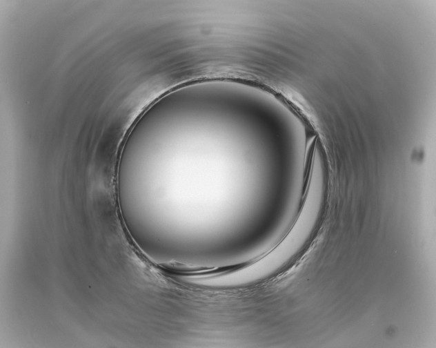 X0000094181089200711020959