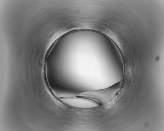 X0000094181093200711020959