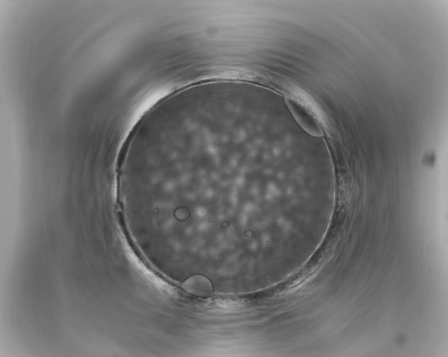 X0000094181095200711020959