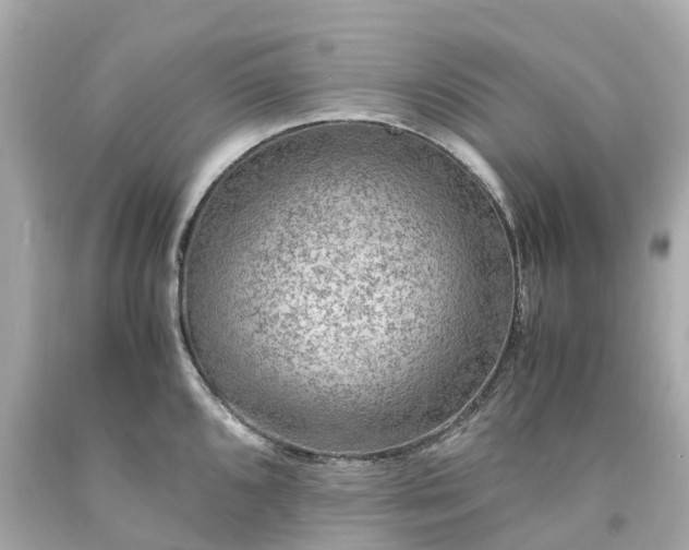 X0000094181096200711020959