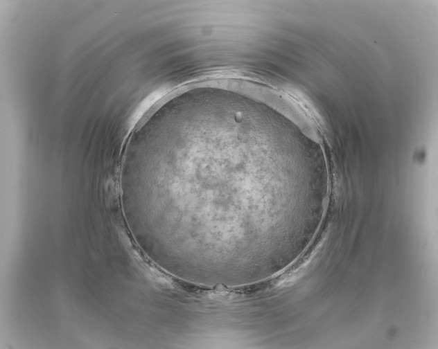X0000094181097200711020959