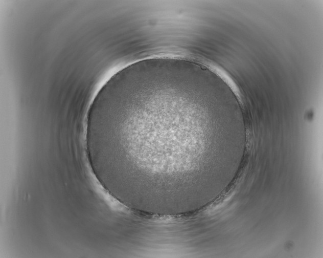 X0000094181099200711020959