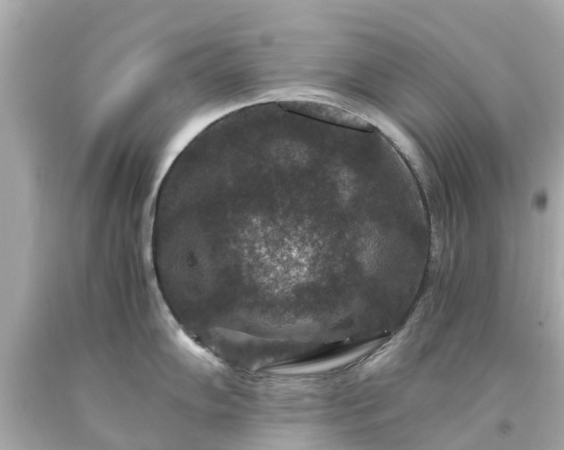X0000094181102200711020959