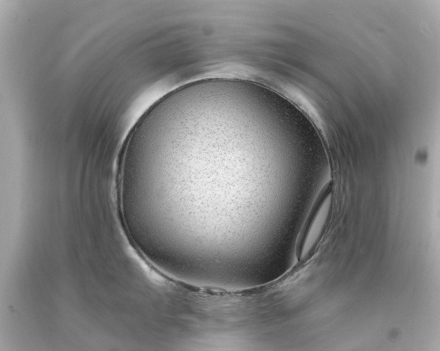 X0000094181103200711020959