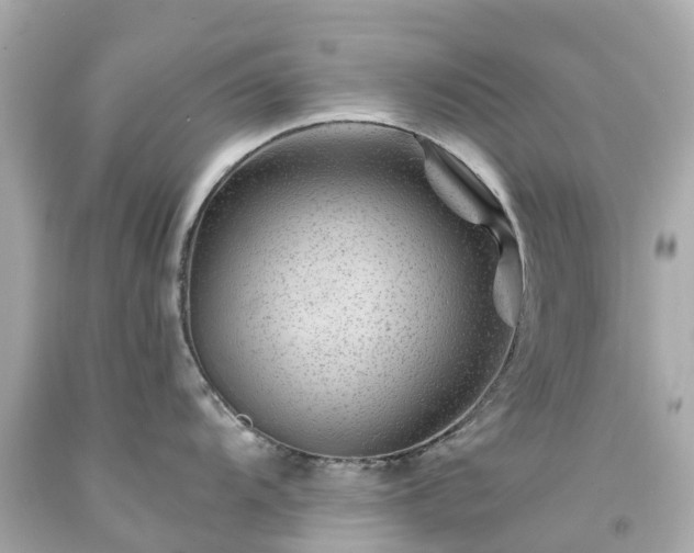 X0000094181104200711020959