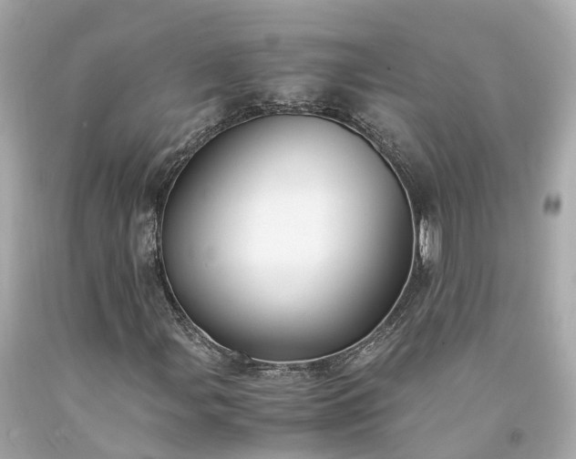 X0000094181107200711020958