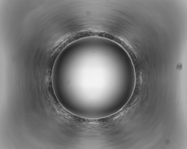 X0000094181110200711020958