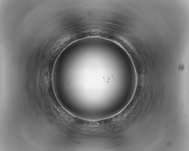 X0000094181111200711020958