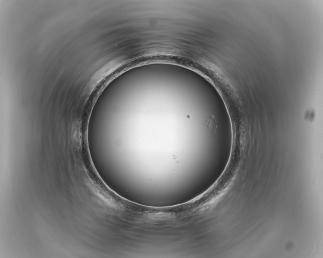 X0000094181113200711020958