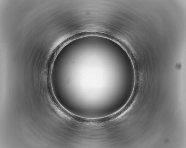 X0000094181114200711020958