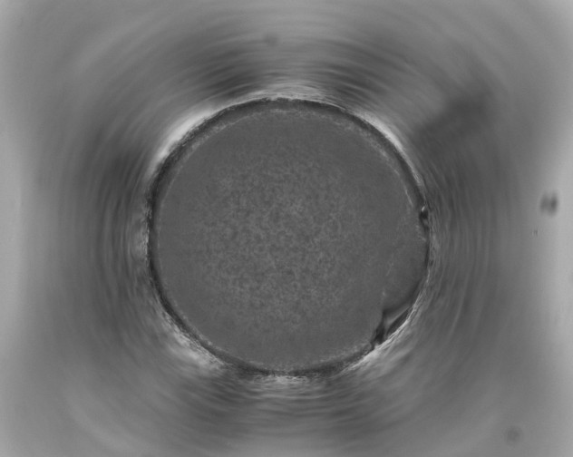X0000094181115200711020958