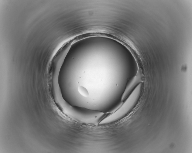 X0000094181116200711020958