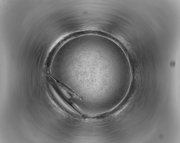 X0000094181118200711020958
