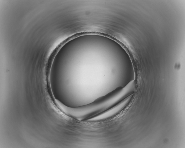 X0000094181120200711020958