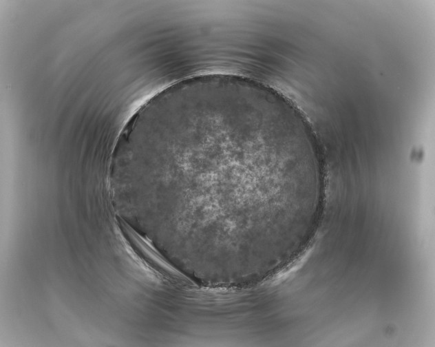X0000094181121200711020958