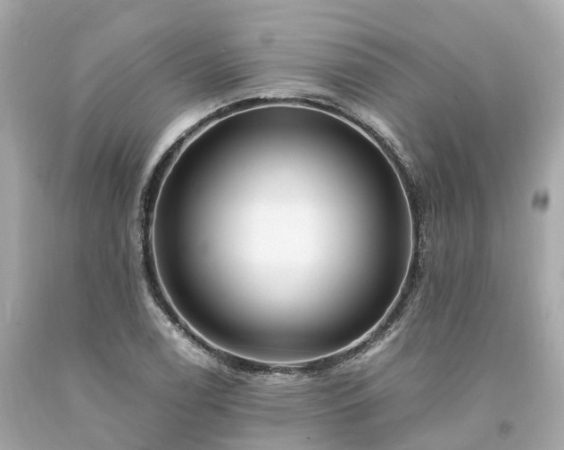 X0000094181122200711020959