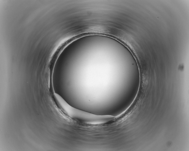 X0000094181123200711020959
