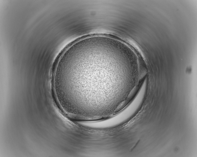 X0000094181124200711020959