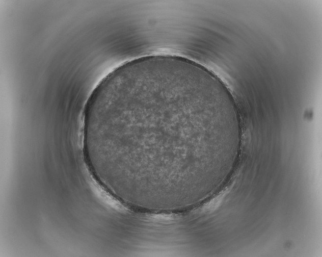 X0000094181126200711020959