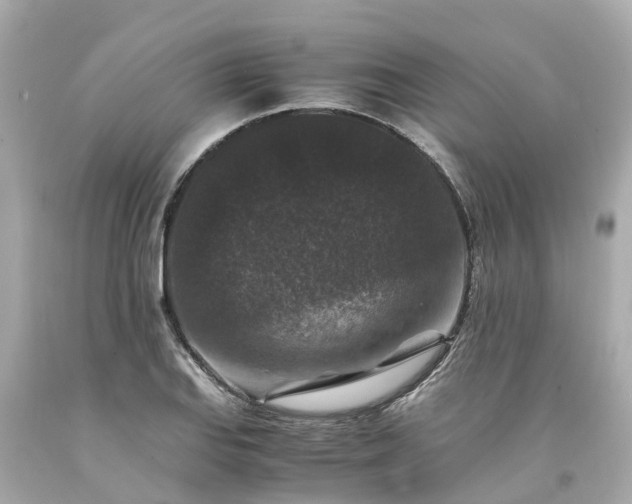 X0000094181127200711020959