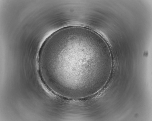 X0000094181128200711020959