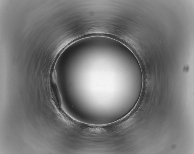 X0000094181129200711020959