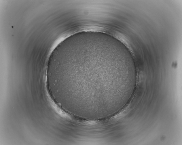 X0000094181130200711020959