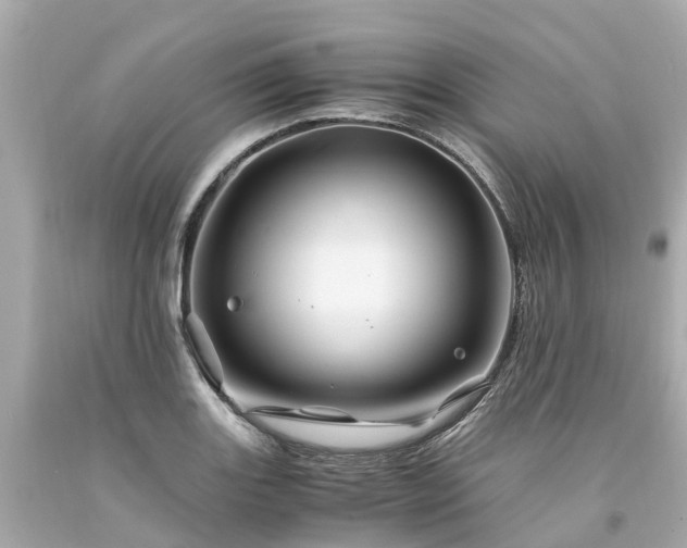 X0000094181131200711020959