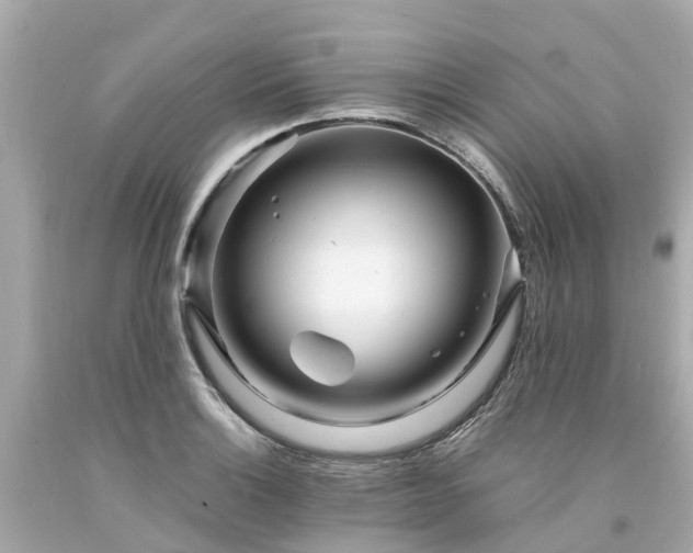 X0000094181132200711020959