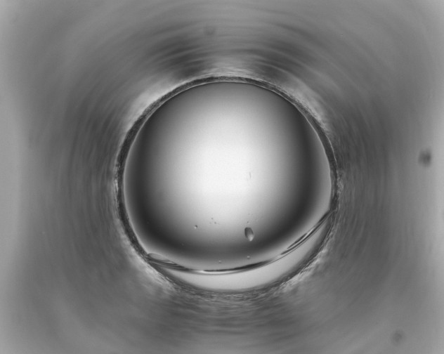X0000094181133200711020959