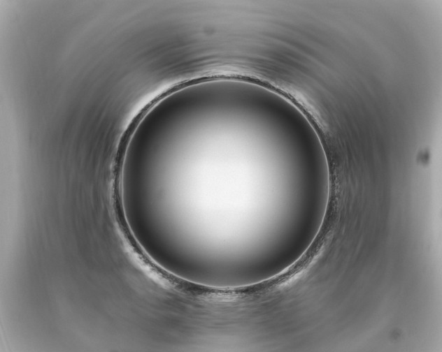 X0000094181134200711020959