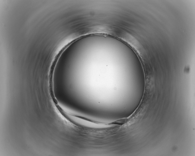 X0000094181135200711020959
