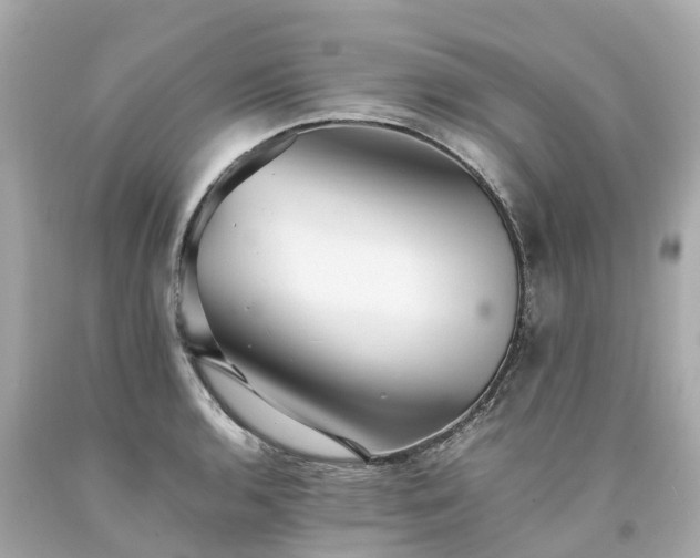 X0000094181136200711020959