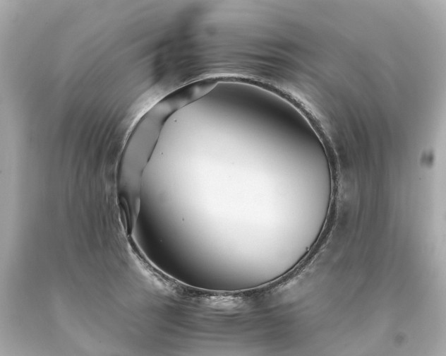 X0000094181137200711020959