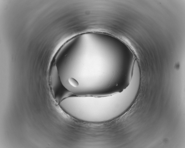 X0000094181140200711020959