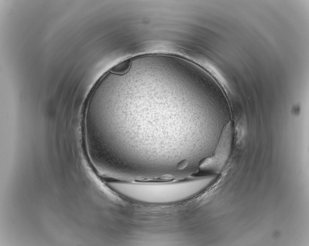 X0000094181142200711020959